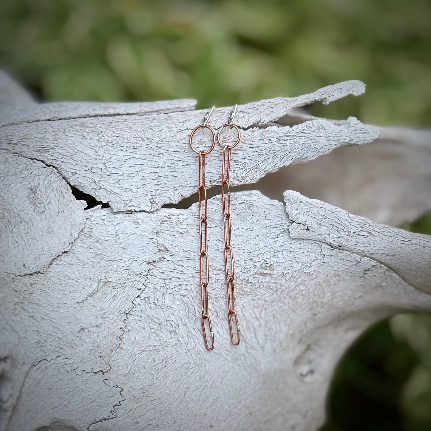The Long Rider Earrings