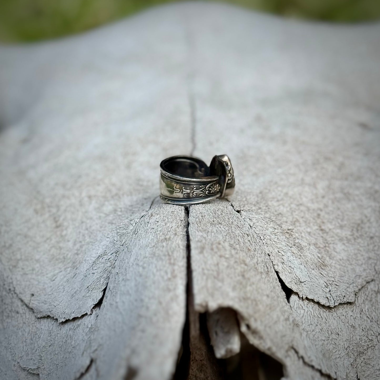 The Bitterroot Ring