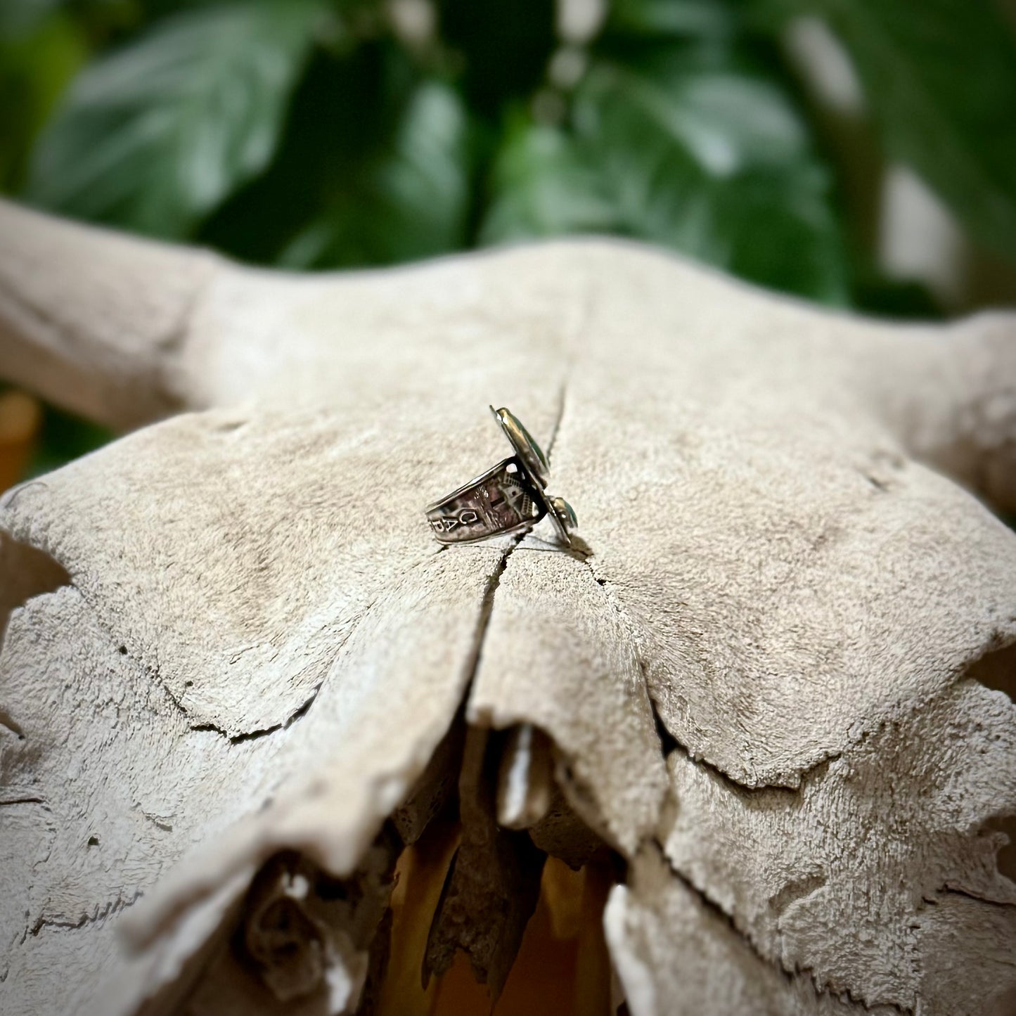 The East Meets West Ring