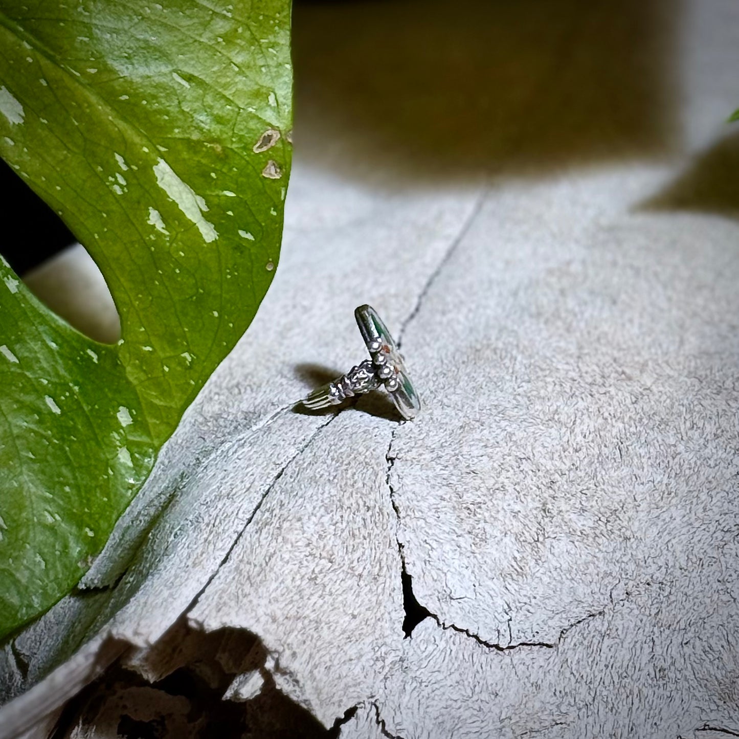 The Damsel Ring