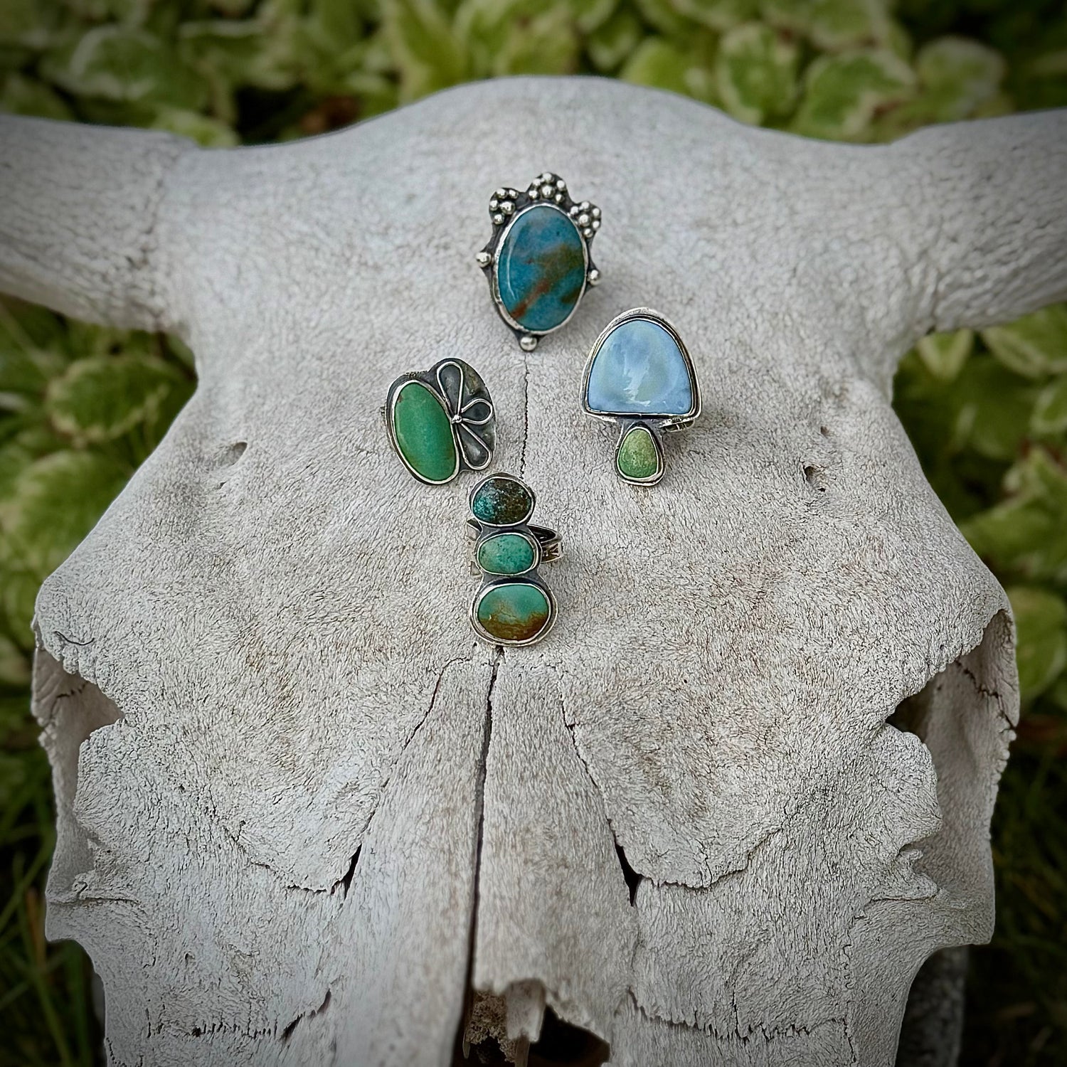 ThE WiLd WeSt CoLLeCtiOn