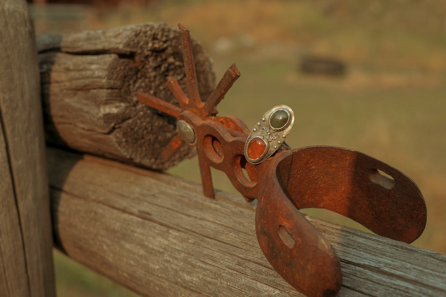 The Lookin' Glass Ring