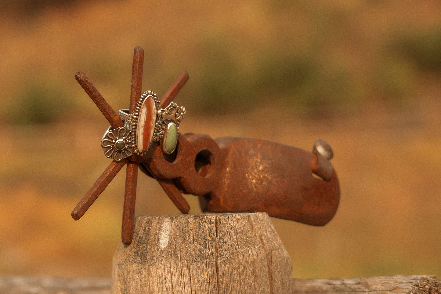 The Willow Ring