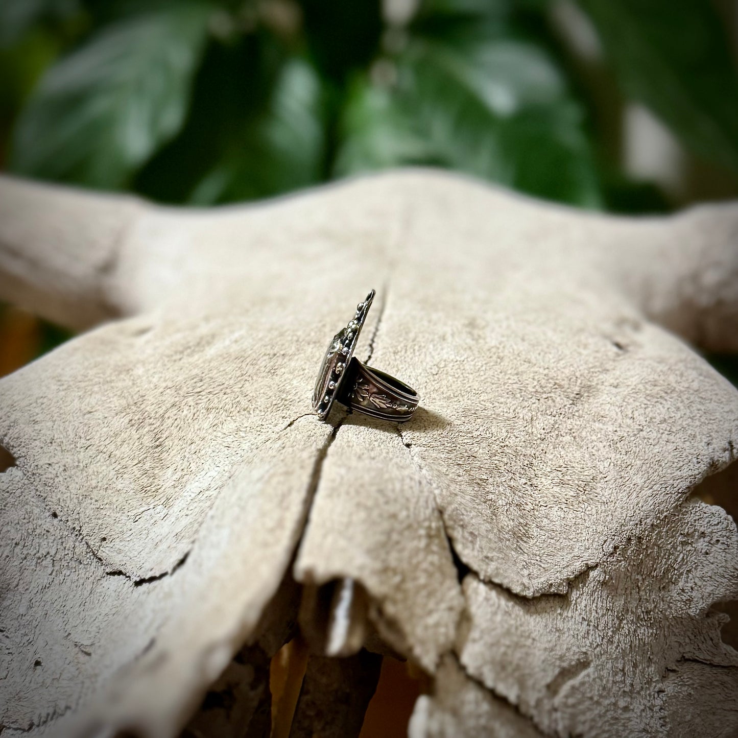 The Prickly Pear Ring