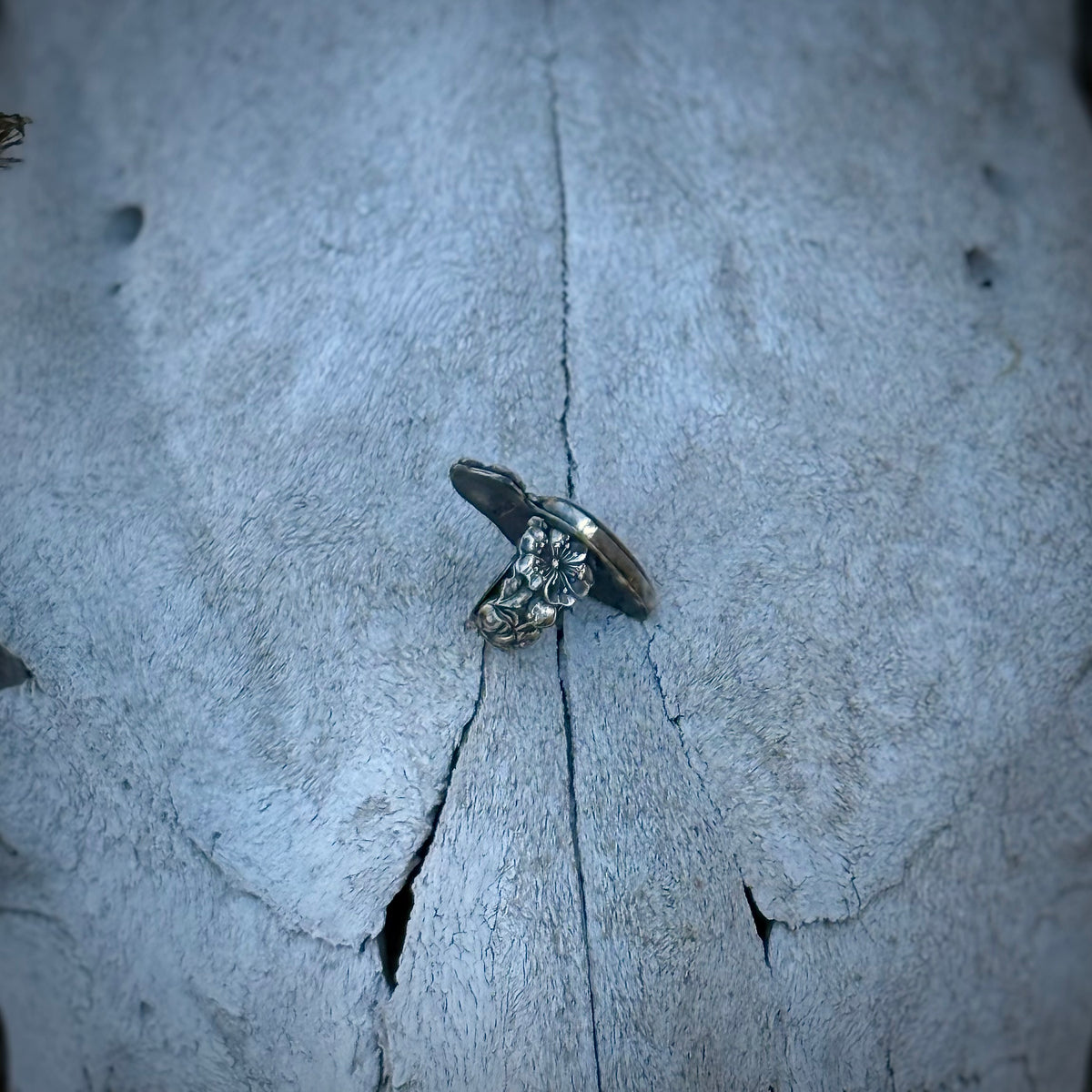 The Olive Ring