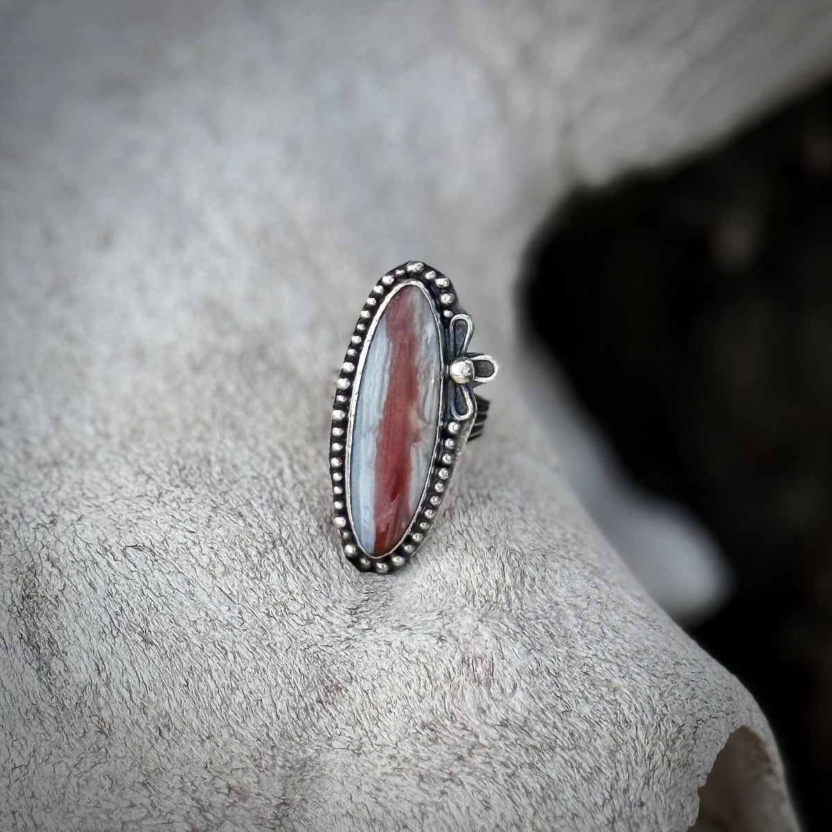 The Willow Ring