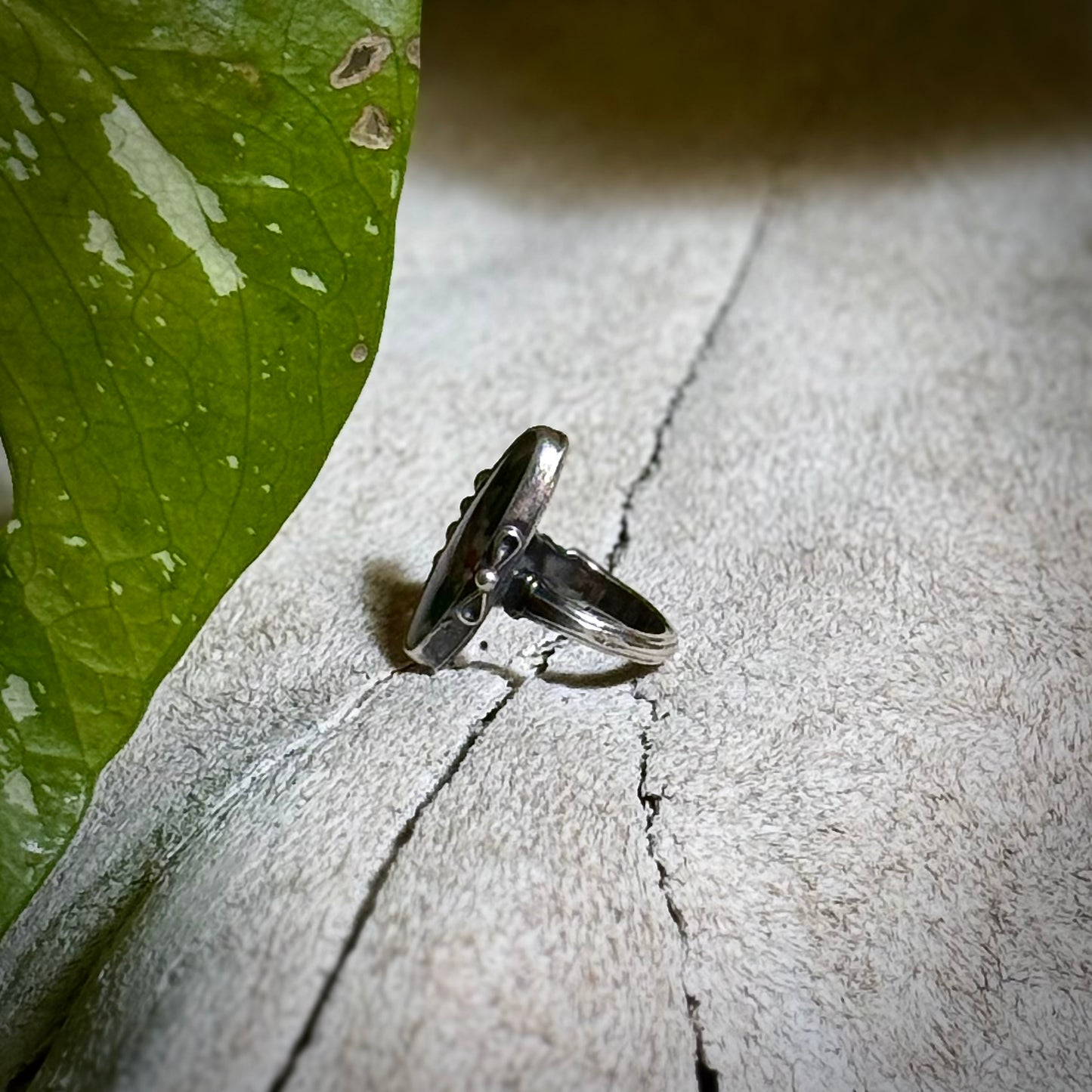 The Damsel Ring