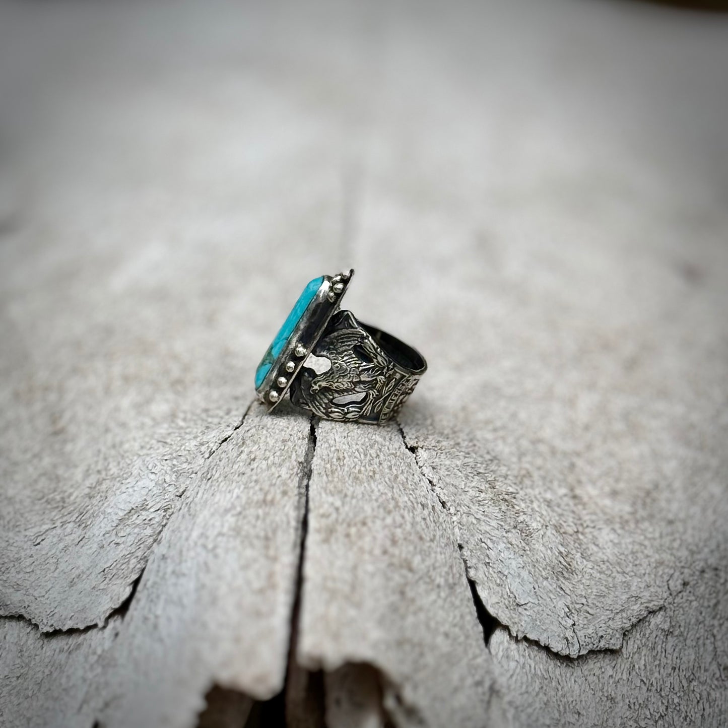 The Clark Fork Ring
