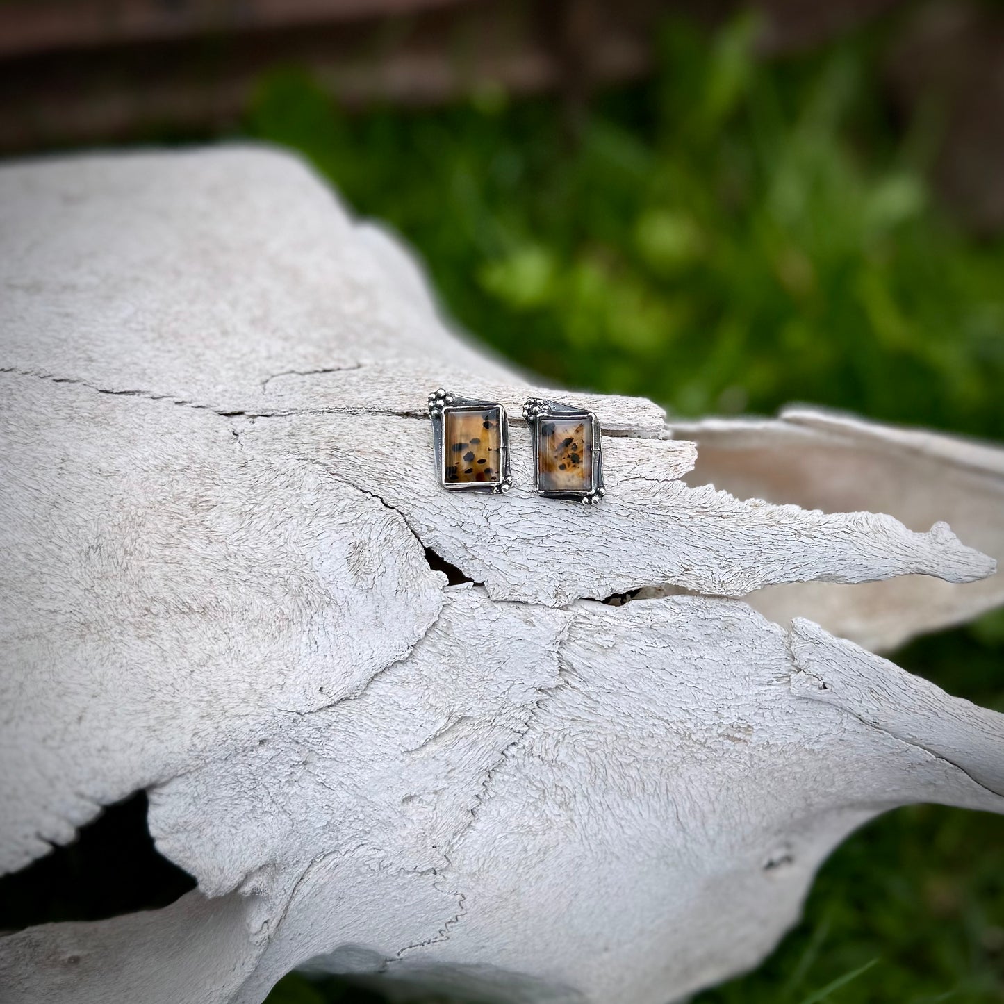 The Montana Agate Studs